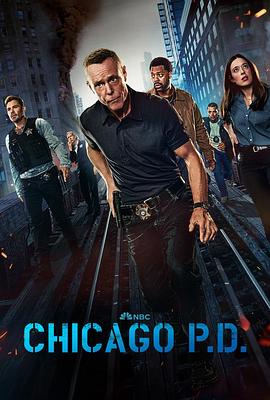 Chicago Police Department Season 12