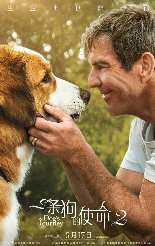 A Dog's Purpose 2