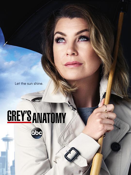 Grey's Anatomy Season 12