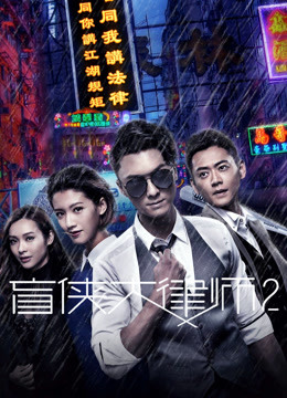 The Blind Lawyer 2 (Chinese version)