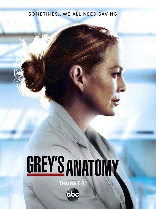 Grey's Anatomy Season 17