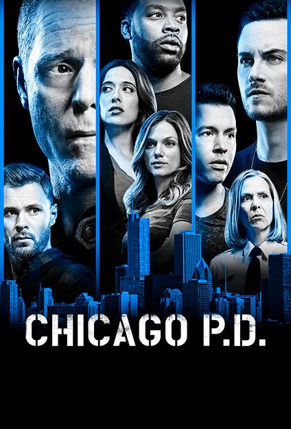 Chicago Police Department Season 6