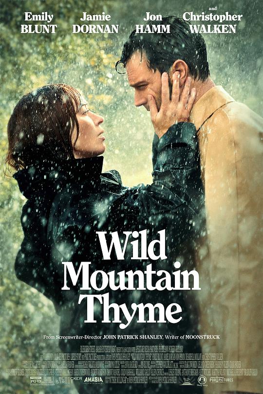 Wild mountain thyme