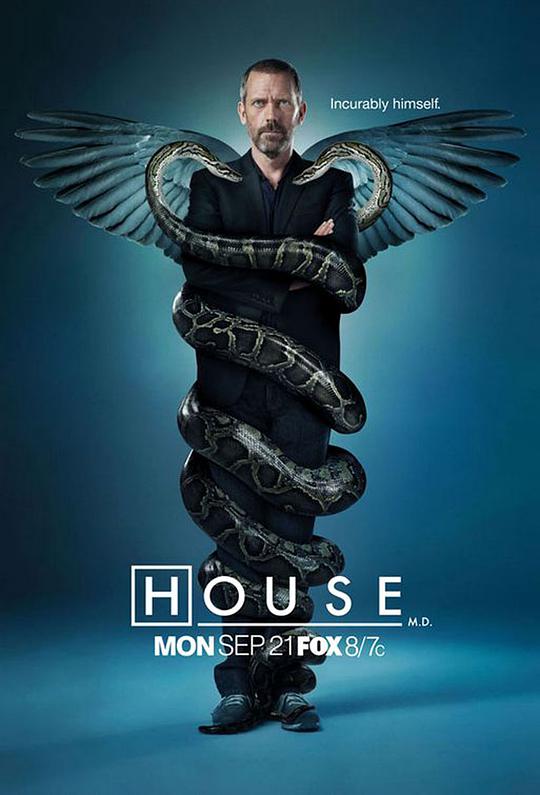 House MD Season 6