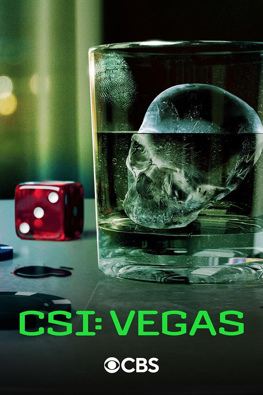 CSI: Vegas Season 3