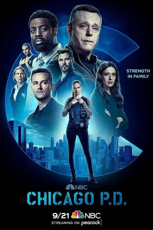 Chicago Police Department Season 10